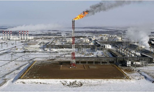 Xuất khẩu dầu của Nga tăng mạnh trong tháng 3.2022. Ảnh: AFP
