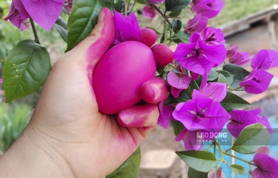 Trong Lễ Gạ ma thú mỗi gia đình Hà Nhì ở cực Tây không thể thiếu những quả trứng đỏ mang lại may mắn. Ảnh: Lỳ Mỳ Xứ