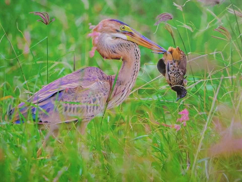 "Tuần lễ khai trương mùa du lịch biển 2022" được tổ chức nhiều hoạt động nhằm thúc đẩy quảng bá du lịch - phục vụ nhu cầu giải trí của du khách. Ảnh: Thảo - Thùy