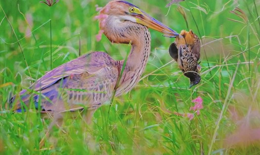 "Tuần lễ khai trương mùa du lịch biển 2022" được tổ chức nhiều hoạt động nhằm thúc đẩy quảng bá du lịch - phục vụ nhu cầu giải trí của du khách. Ảnh: Thảo - Thùy