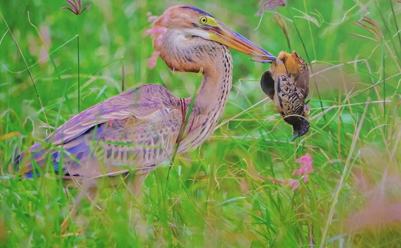 "Tuần lễ khai trương mùa du lịch biển 2022" được tổ chức nhiều hoạt động nhằm thúc đẩy quảng bá du lịch - phục vụ nhu cầu giải trí của du khách. Ảnh: Thảo - Thùy