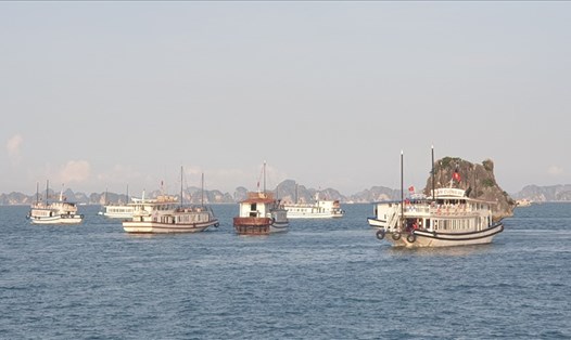 Đến khoảng 15h ngày 30.4, vẫn còn khá nhiều tàu xuất bến, đưa du khách ra thăm vịnh Hạ Long. Ảnh: Nguyễn Hùng