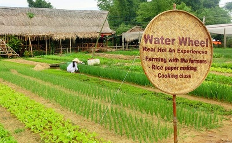 Làng rau Trà Quế Hội An hiện tại vẫn còn duy trì phương pháp trồng rau hữu cơ từ xa xưa, vì vậy Bộ Văn hóa Thể thao, du lịch đã đưa Làng rau Trà Quế vào danh mục Văn hóa phi vật thể quốc gia..