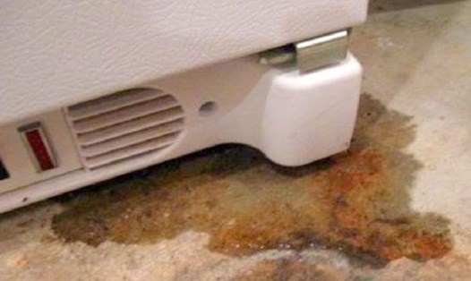 Tủ lạnh bị chảy nước là hiện tượng thường thấy ở những chiếc tủ cũ hoặc đã sử dụng lâu. Ảnh: ST