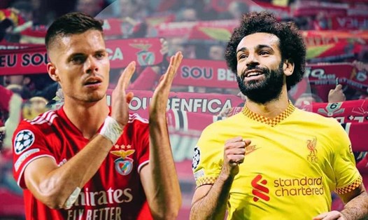 Liverpool được đánh giá cao hơn Benfica. Ảnh: TIA