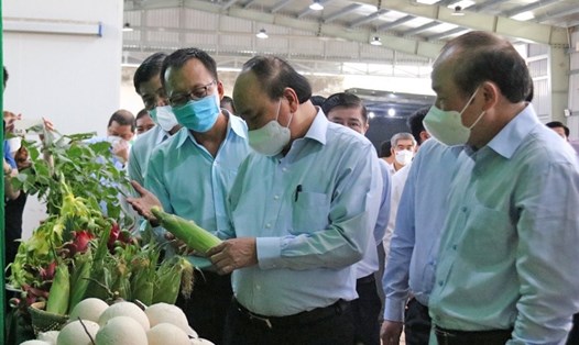 Chủ tịch nước Nguyễn Xuân Phúc xem các sản phẩm của HTX. Ảnh: T.G
