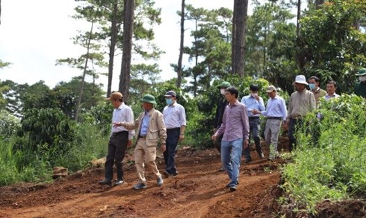 Chủ tịch UBND tỉnh Lâm Đồng Trần Văn Hiệp kiểm tra thực tế hiện trường vụ phá rừng tại xã Lộc Phú, huyện Bảo Lâm. Ảnh: Khánh Phúc