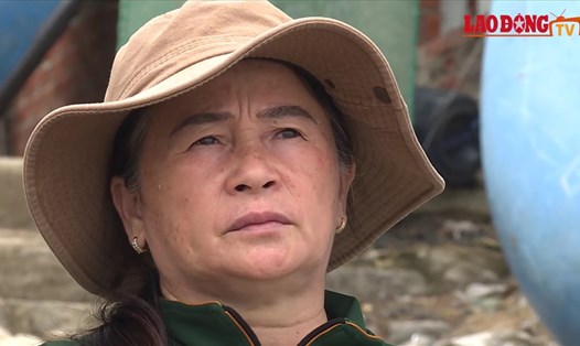 Phú Yên: Người nuôi tôm hùm gặp khó trăm bề để tái nuôi