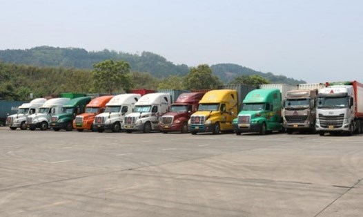 28 xe hàng vừa được thông quan tại cửa khẩu quốc tế đường bộ số II Kim Thành (Lào Cai). Ảnh: QT.