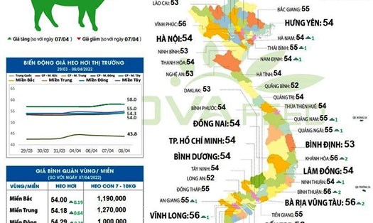 Giá lợn (heo) hơi ngày 8.4.2022 tăng tại nhiều tỉnh. Nguồn: Anova Feed.