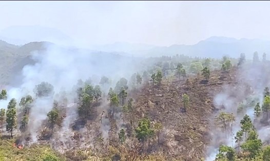 Một vụ cháy rừng phòng hộ vừa xảy ra tại địa bàn xã Nà Nhạn, TP.Điện Biên Phủ, tỉnh Điện Biên vào chiều 8.4. Ảnh: CTV