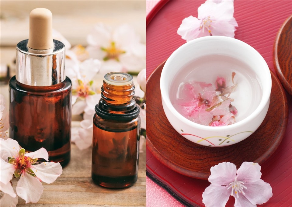 Hoa anh đào giúp da sáng khỏe, rạng rỡ. Đồ họa: Thanh Ngọc