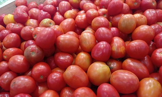 Cà chua dễ dàng kết hợp với nhiều thực phẩm khác để dưỡng da. Ảnh: Doãn Hằng
