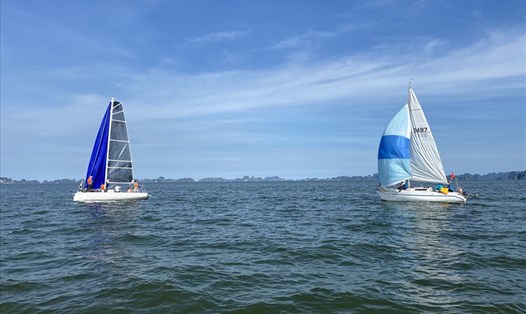 Thuyền buồm thể thao mới xuất hiện trên vịnh Hạ Long.