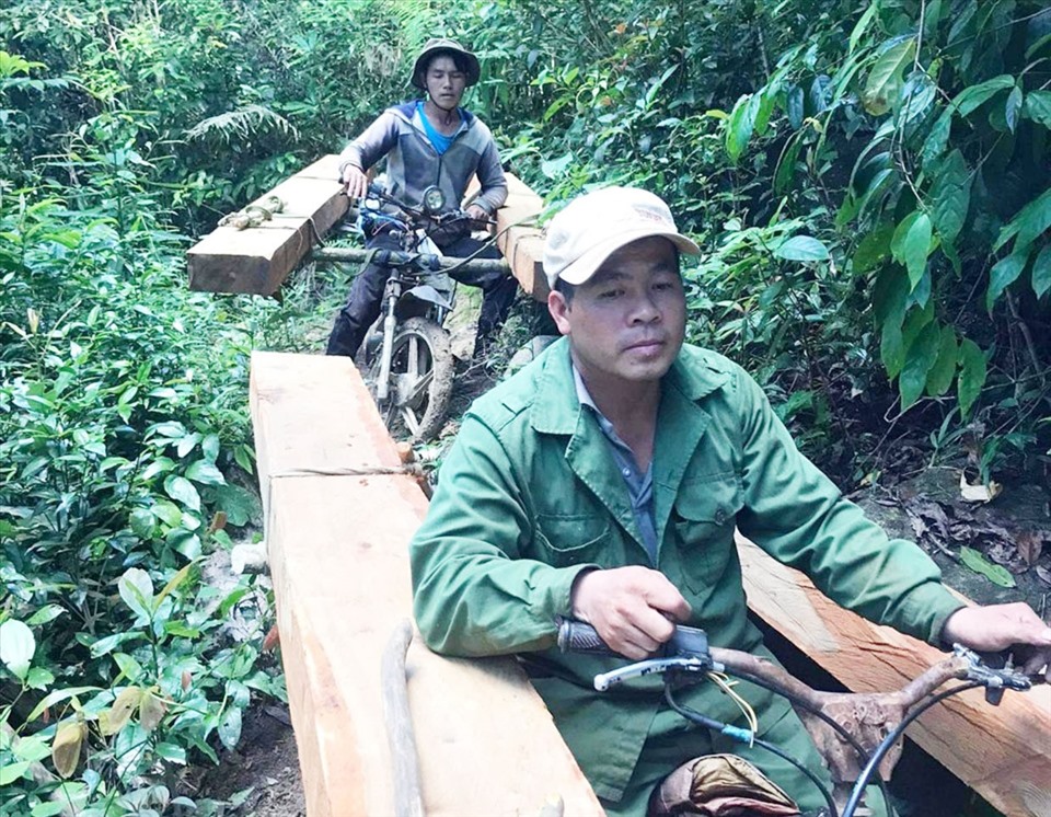 Mật phục 10 ngày, bắt lâm tặc phá rừng Gia Lai để đưa gỗ sang Đắk Lắk