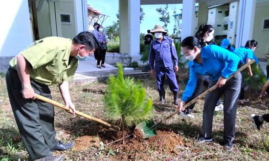 Cán bộ công đoàn ở TP.Bảo Lộc (Lâm Đồng) hưởng ứng chiến dịch trồng cây xanh trong "Tháng Công nhân" năm 2022. Ảnh Hoàng Thanh