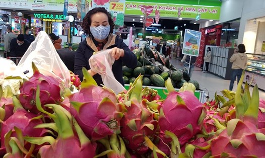 Việt Nam đẩy mạnh xúc tiến thương mại để hỗ trợ nông dân xuất khẩu thanh long thuận lợi. Ảnh: Vũ Long