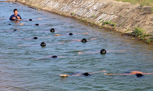 Ngăn kênh dạy bơi cho trẻ ở Quảng Trị. Ảnh: Hưng Thơ.