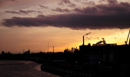 Hiệp hội ngành công nghiệp Đức BDI cảnh báo về việc ngừng khí đốt Nga. Ảnh chụp màn hình