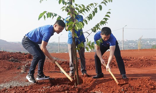 Tỉnh Đắk Nông lên kế hoạch trồng gần 2,8 triệu cây xanh trên diện tích 4.220ha đất trong năm 2022. Ảnh: Phan Tuấn