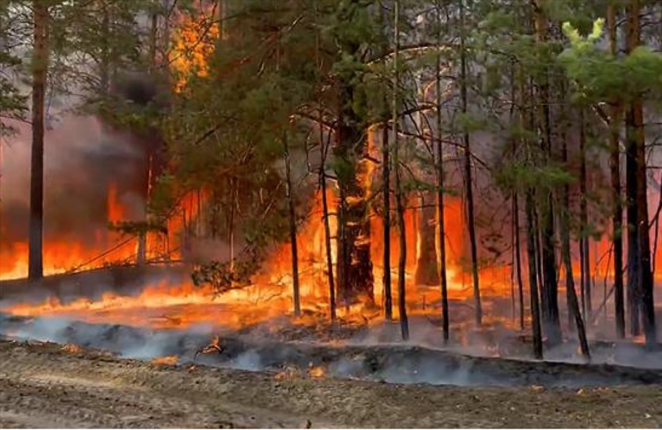What is the cause of forest fires that broke out so fiercely in Russia?