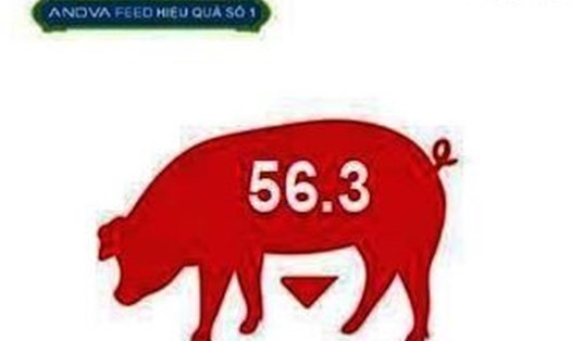 Giá lợn hơi bình quân trên cả nước ngày 18.5 ở mức 56.300 đồng/kg. Nguồn: Anova Feed.