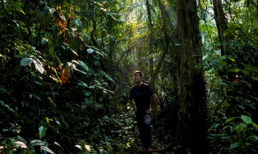 Anh Nguyễn Ngọc Anh trong một chuyến đi vào Vườn Quốc gia Phong Nha - Kẻ Bàng. Ảnh: Reuters