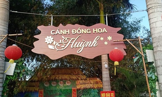 Cánh đồng hoa huỳnh, huyện Vĩnh Lợi, tỉnh Bạc Liêu thu hút khá đông khách du lịch. Ảnh: Nhật Hồ