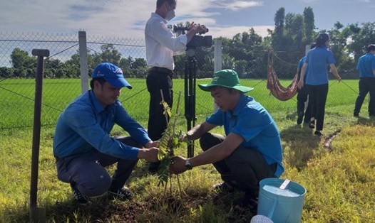 Đoàn viên Công đoàn huyện An Phú (An Giang) tham gia trồng cây xanh.