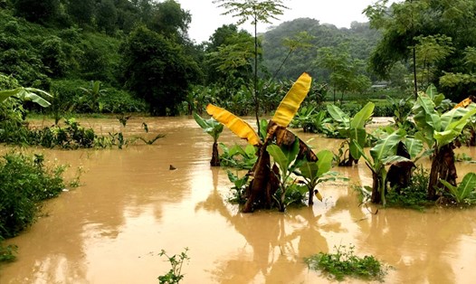 Mưa lớn kéo dài gây thiệt hại cục bộ tại nhiều địa phương tỉnh Tuyên Quang.
