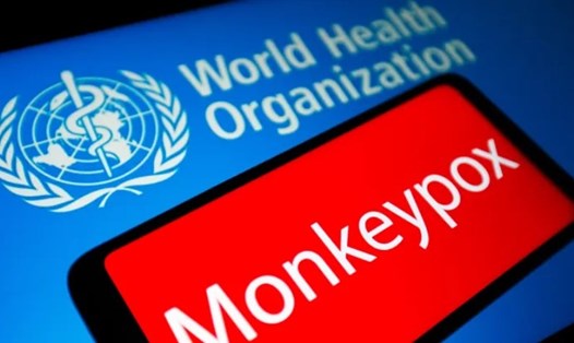 Các quan chức WHO cho biết, bệnh đậu mùa ở khỉ chủ yếu lây qua đường tình dục. Ảnh chụp màn hình