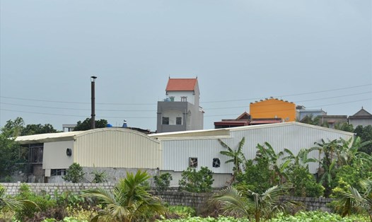 Xưởng sản xuất thạch rau câu gây ô nhiễm môi trường tại xã Minh Khai (huyện Hưng Hà, tỉnh Thái Bình) đã bị đình chỉ hoạt động. Ảnh: T.D