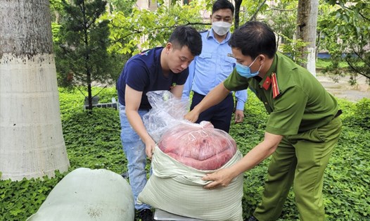Cơ quan chức năng kiểm đếm số tang vật là 250kg nội tạng động vật đã bốc mùi hôi thối. Ảnh: CTV