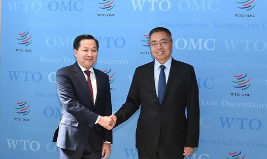 Phó Thủ tướng Lê Minh Khái và Phó Tổng giám đốc WTO Trương Hướng Thần. Ảnh: VGP