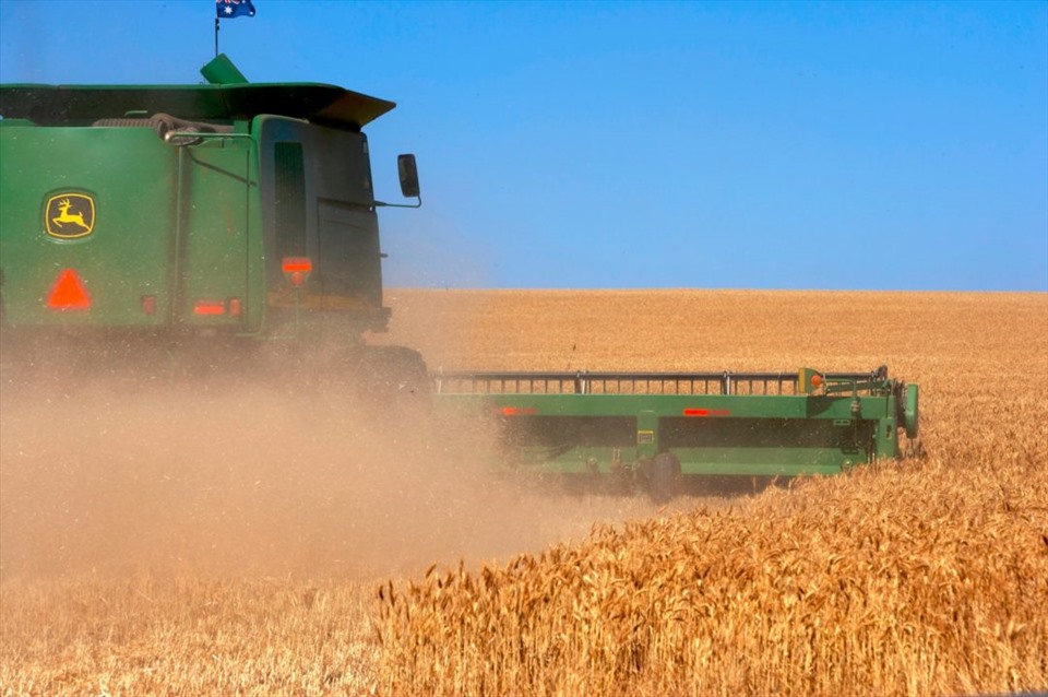 Russia predicts a good grain crop, can export large quantities