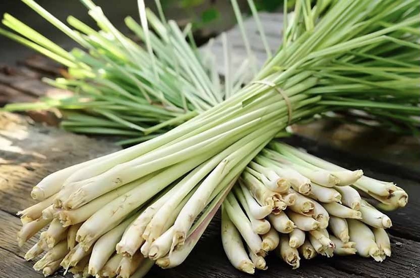 Cây sả là một trong những nguyên liệu xông mặt hiệu quả. Ảnh: ST