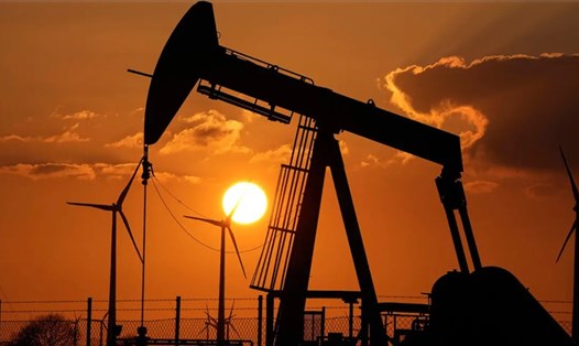 Các tập đoàn dầu khí Ấn Độ có cổ phần ở Nga. Ảnh: AFP