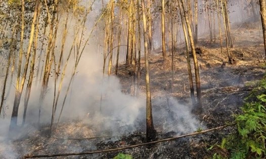 Hiện trường vụ cháy rừng tại huyện Thanh Thủy. Ảnh: T.L.