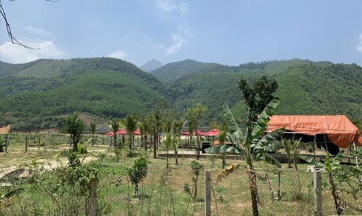 Tại huyện Hòa Vang (Đà Nẵng) có nhiều mô hình phát triển du lịch sinh thái trên đất nông nghiệp, đất rừng sản xuất chưa đúng quy định. Ảnh: Thanh Chung