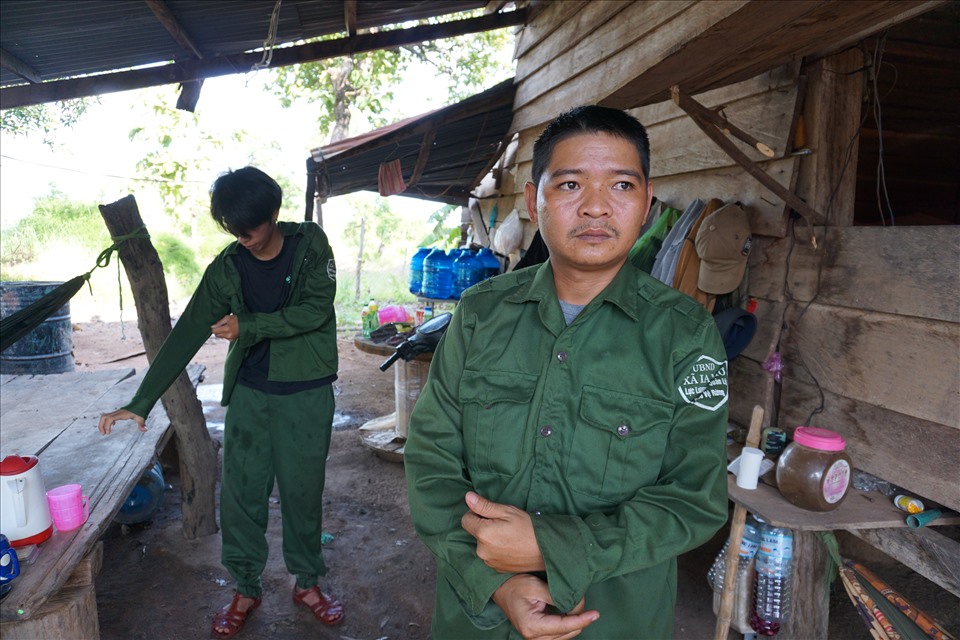 Bảo vệ rừng ở Gia Lai gặp nhiều khó khăn. Ảnh T.T