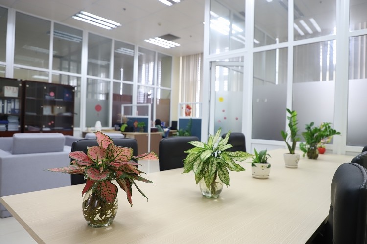Một góc làm việc xanh thực hiện 5S tại Phòng Đối ngoại và Khoa học công nghệ. Ảnh: CĐN