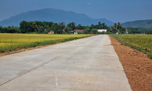 Việc cấp giấy chứng nhận quyền sử dụng đất với đất nông nghiệp tại TP.Đà Nẵng hiện nay không còn nữa. Ảnh minh hoạ: TT