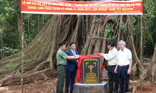 Quang cảnh buổi lễ đón nhận Bằng công nhận quần thể Cây di sản Việt Nam ở xã Quảng Trực. Ảnh:DP