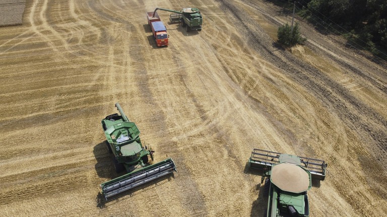Nông dân Nga thu hoạch trên cánh đồng lúa mì gần làng Tbilisskaya, Nga. Ảnh: Vitaly Timkiv