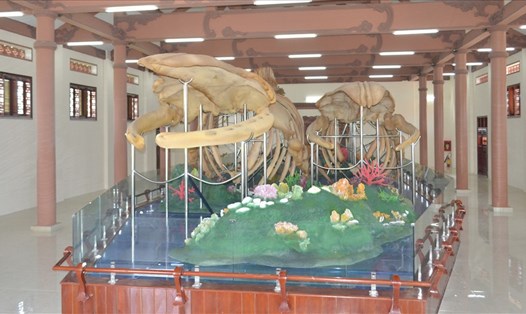 Nhà trưng bày bộ xương cá Ông ở đảo Lý Sơn hấp dẫn du khách. Ảnh: Hữu Danh