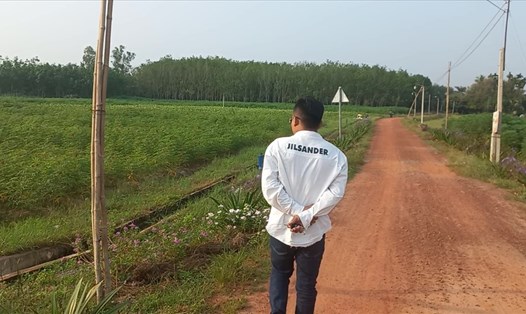 Nhiều khu đất nông nghiệp ở Tây Ninh đã bị "đầu nậu" thâu tóm.