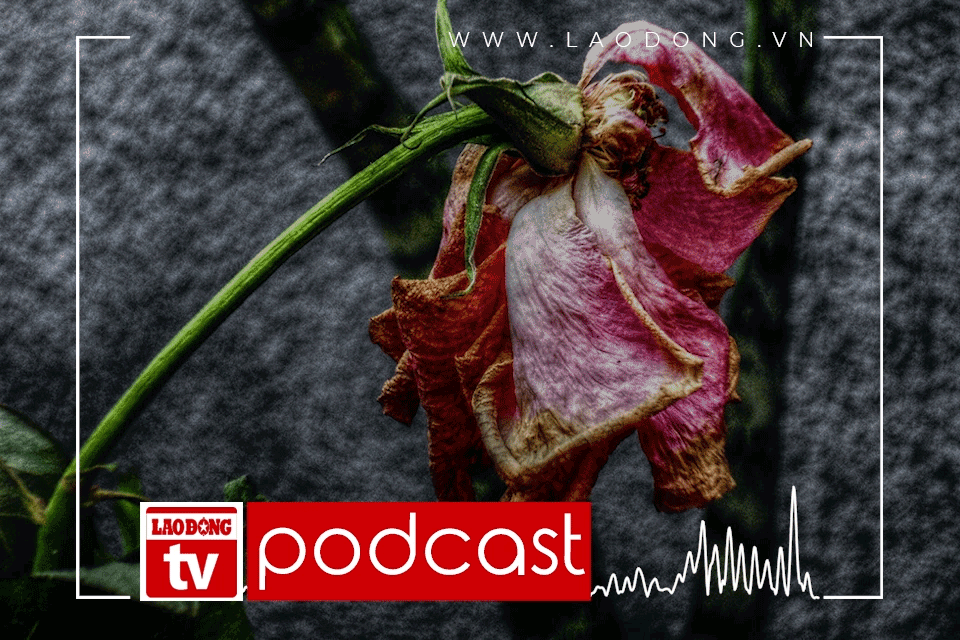 PODCAST: Giờ thứ 9 – Cạn tình (phần 2)