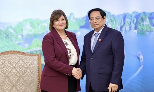 Thủ tướng Phạm Minh Chính tiếp Đại sứ Ai Cập tại Việt Nam Amal Abdel Kader Elmorsi Salama. Ảnh: VGP