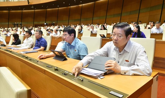 Các đại biểu Quốc hội Đoàn ĐBQH tỉnh Lâm Đồng biểu quyết bằng hệ thống điện tử. Ảnh: PV
