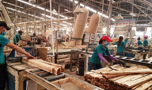 Xuất khẩu gỗ của Việt Nam sang thị trường Trung Quốc vẫn nhiều tiềm năng nhưng không ít thách thức. Ảnh: Vũ Long